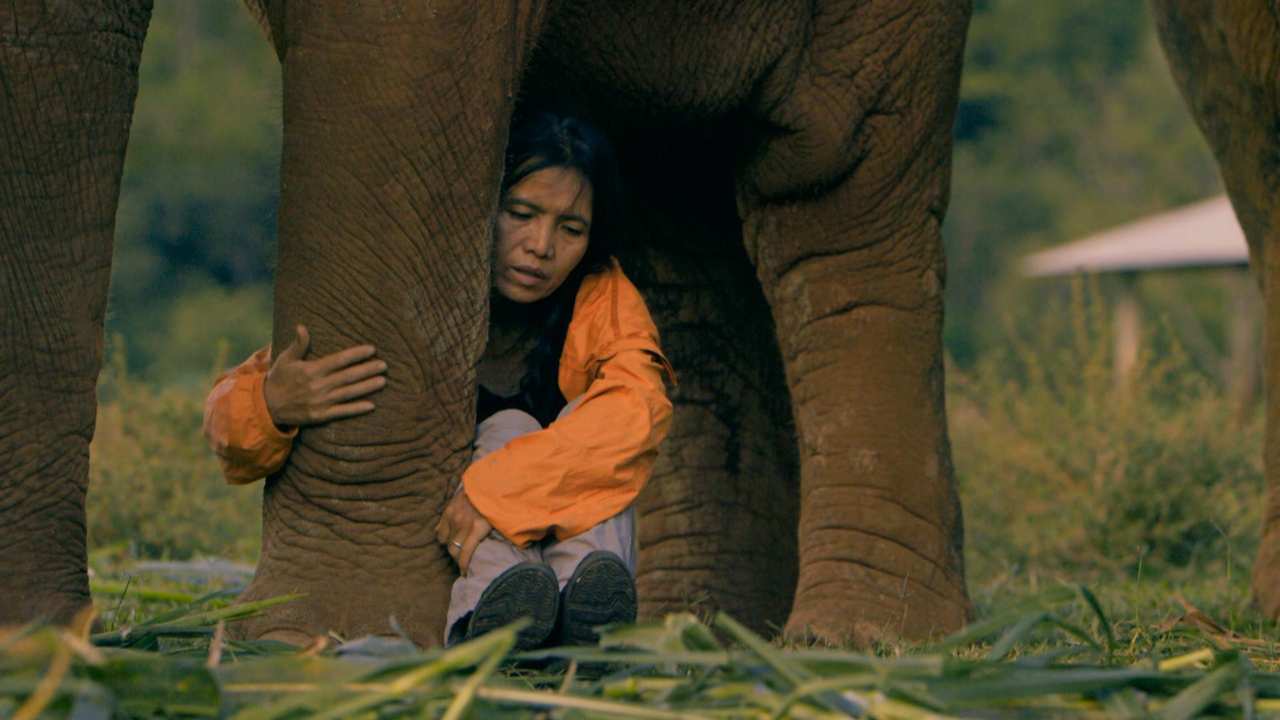 a woman hugging an elephants leg
